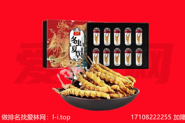 峨边县回收虫草.jpg